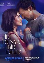 两个世界一个愿望