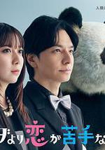 比熊猫更不擅长恋爱的我们