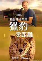 摄影师贝尔蒂与猎豹零距离