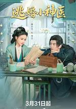 逃婚小神医